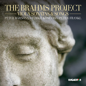 Brahms Project