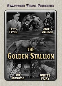 The Golden Stallion