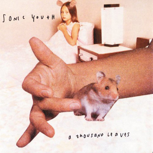 Sonic Youth - A Thousand Leaves [Import Vinyl]