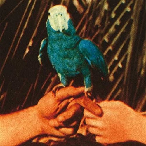Andrew Bird - Are You Serious [Vinyl]