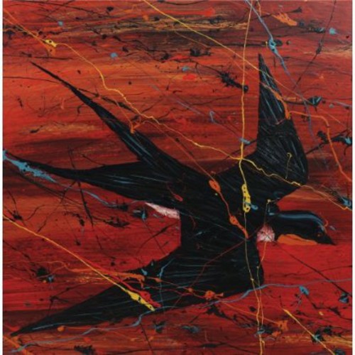 Charlie Parr - Barnswallow