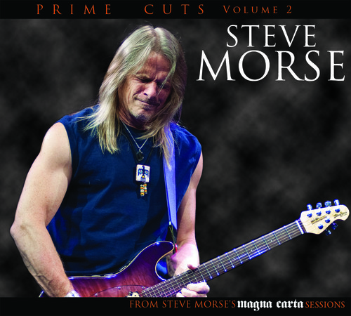 Steve Morse - Prime Cuts, Vol. 2