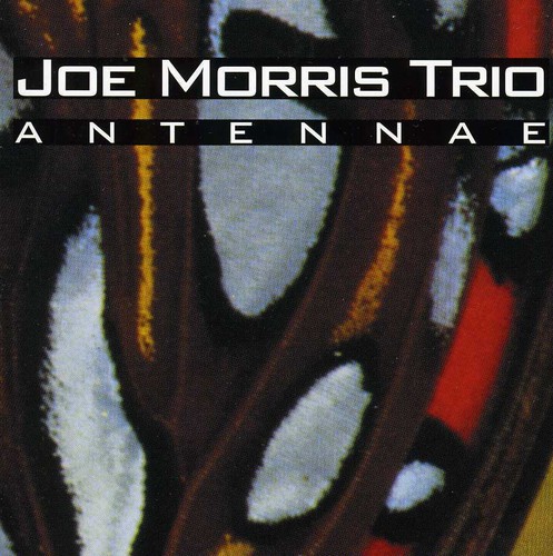 Joe Morris Trio - Antennae