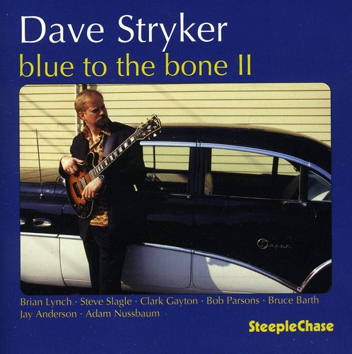 Dave Stryker - Blue to the Bone 2