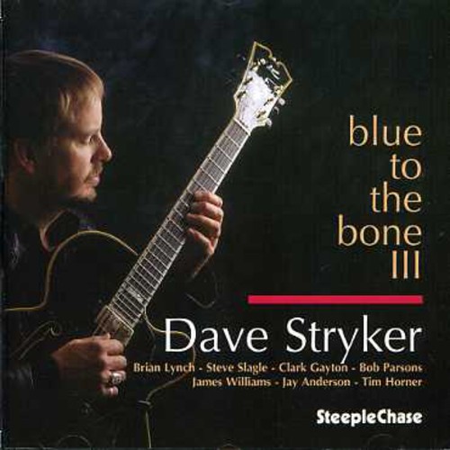 Dave Stryker - Blue To The Bone III