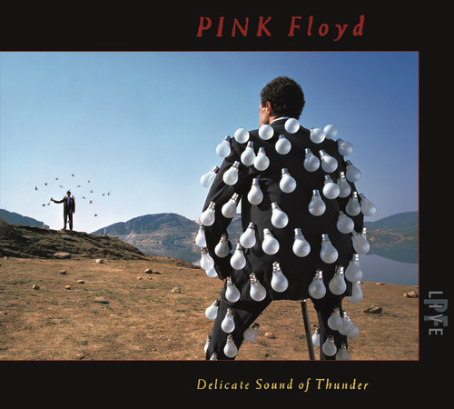 Pink Floyd - Delicate Sound Of Thunder (Live)