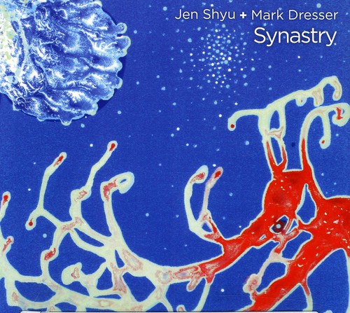Mark Dresser - Synastry