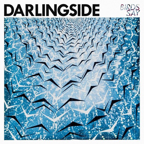 Darlingside - Birds Say [Vinyl]