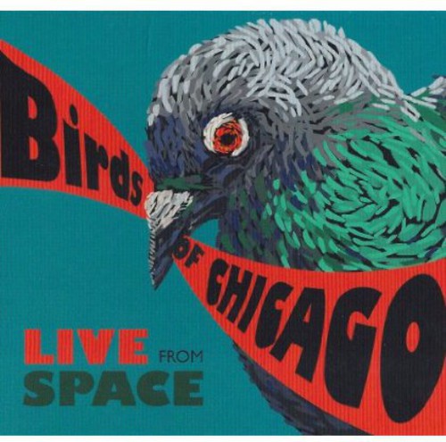 Birds of Chicago - Live from Space