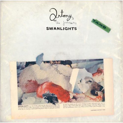 Anohni & The Johnsons - Swanlights