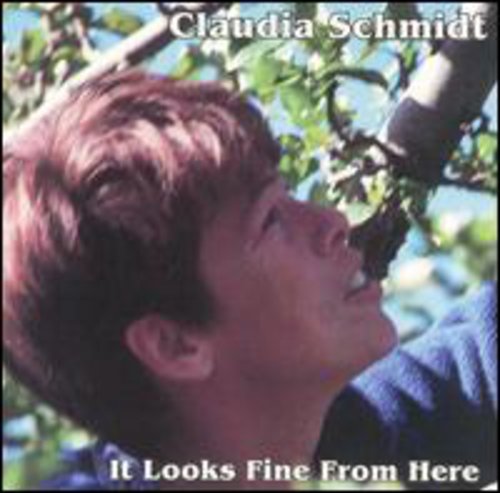 Claudia Schmidt - It Looks Fine from Here