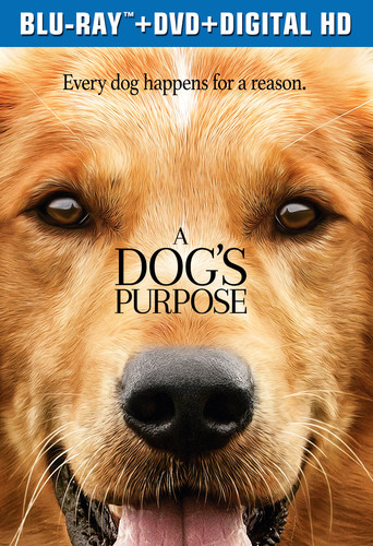 A Dog's Purpose [Movie] - A Dog's Purpose