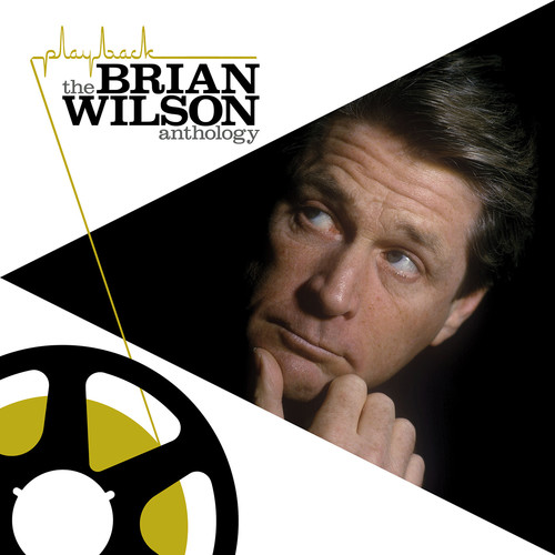 Brian Wilson - Playback: The Brian Wilson Anthology [2LP]