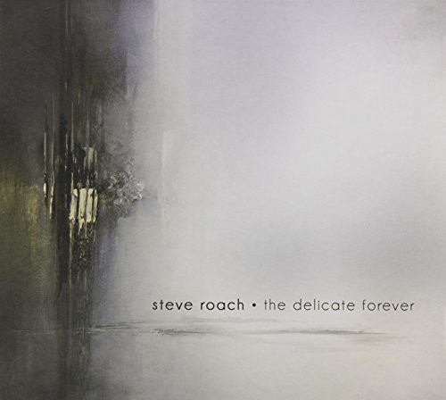 Steve Roach - Delicate Forever