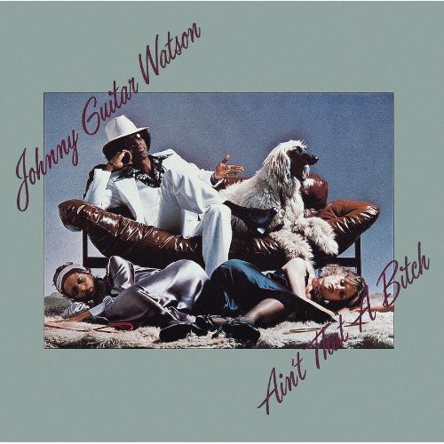 Johnny 'Guitar' Watson - Ain't That a Bitch