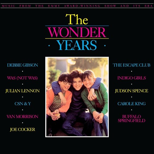 Various Artists - The Wonder Years: Music From The Emmy Award-Winning Show And Its Era [LP]