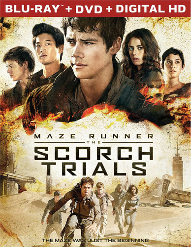 The Maze Runner [Movie] - Maze Runner: The Scorch Trials
