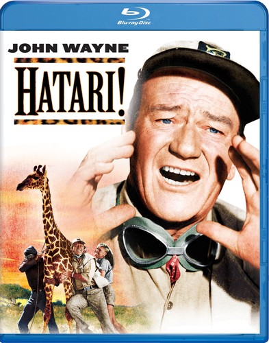 Hatari!