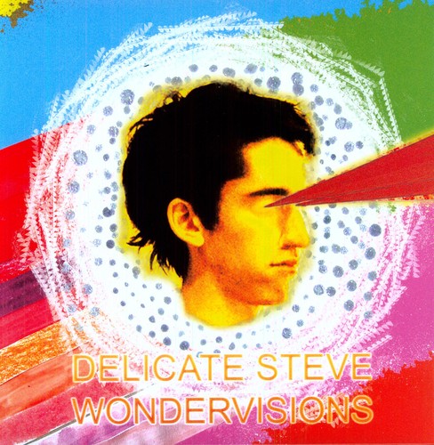 Delicate Steve - Wondervisions