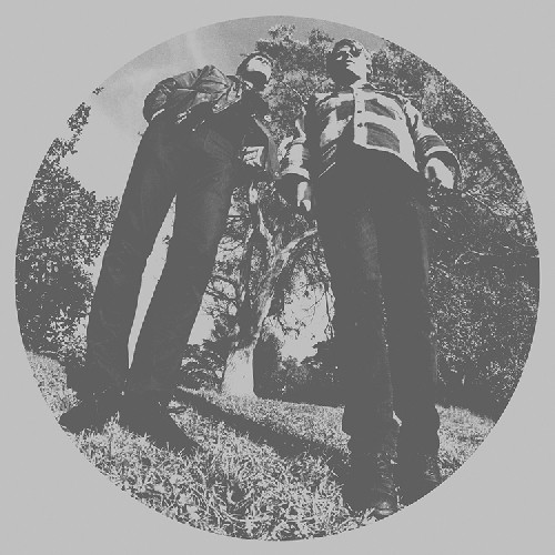 Ty Segall & White Fence - Hair [LP]