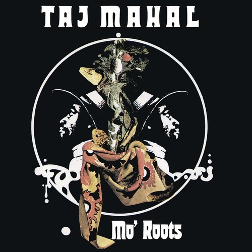 Taj Mahal - Mo Roots