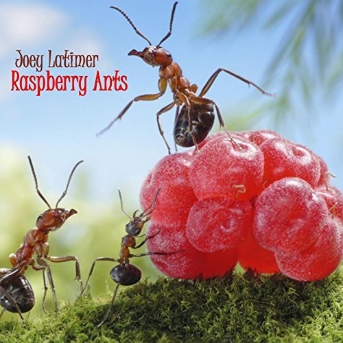 Joey Latimer - Raspberry Ants