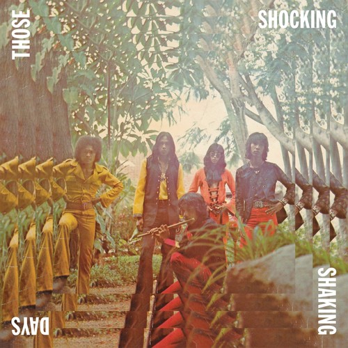 Those Shocking Shaking Days - Those Shocking Shaking Days