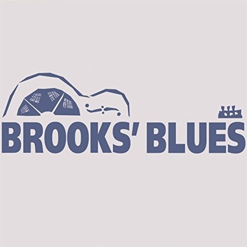 Brooks Williams - Brooks' Blues