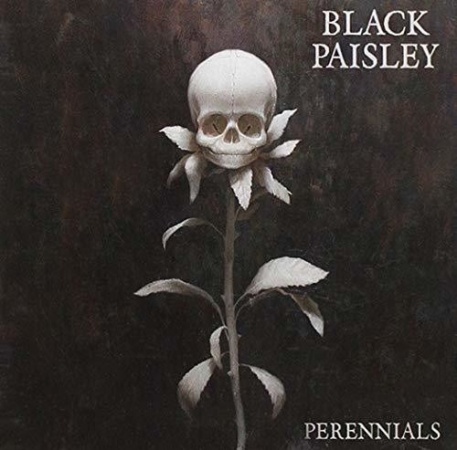Black Paisley - Perennials