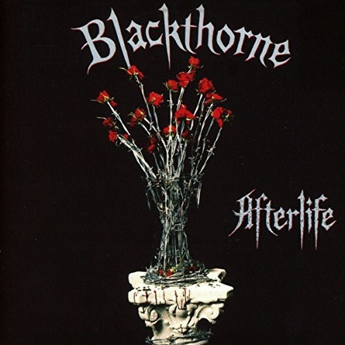 Blackthorne - Afterlife: Expanded Edition