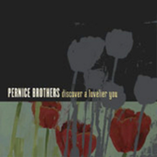 Pernice Brothers - Discover a Lovelier You