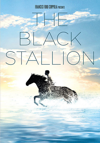  - The Black Stallion