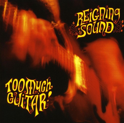 Reigning Sound - Too Much Guitar