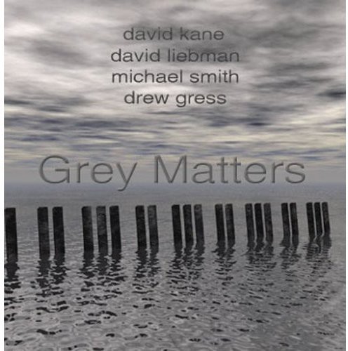 David Kane - Grey Matters