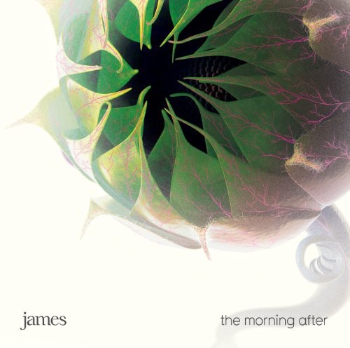 James - Morning After [Import]