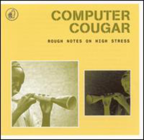 Computer Cougar - Rough Notes on High Stress