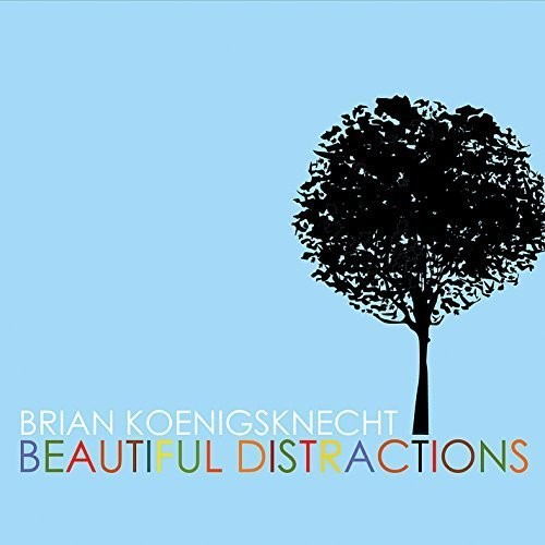 Brian Koenigsknecht - Beautiful Distractions