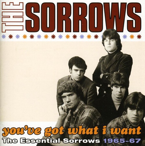 Sorrows - You've Got What I Want-The Essential Sorrows 1965- [Import]