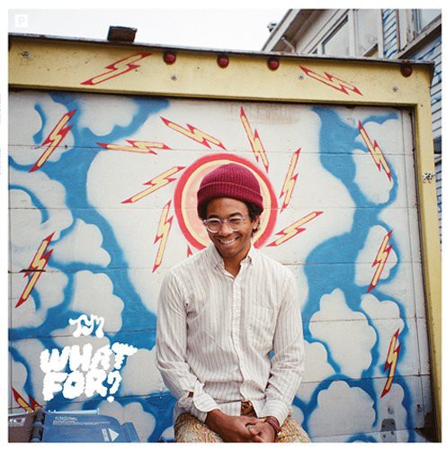 Toro Y Moi - What For? [Import]