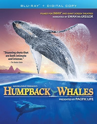 Imax: Humpback Whales