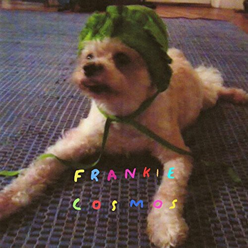 Frankie Cosmos - Zentropy [Limited Edition]