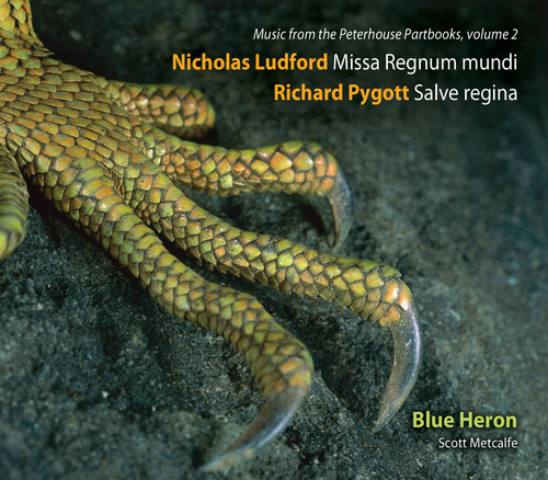 Blue Heron - Vol 2 Music from the Peterhouse Partbooks: Missa Regnum mundi