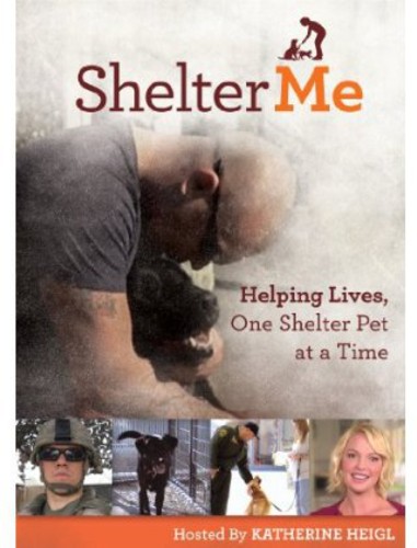 Shelter Me - Shelter Me