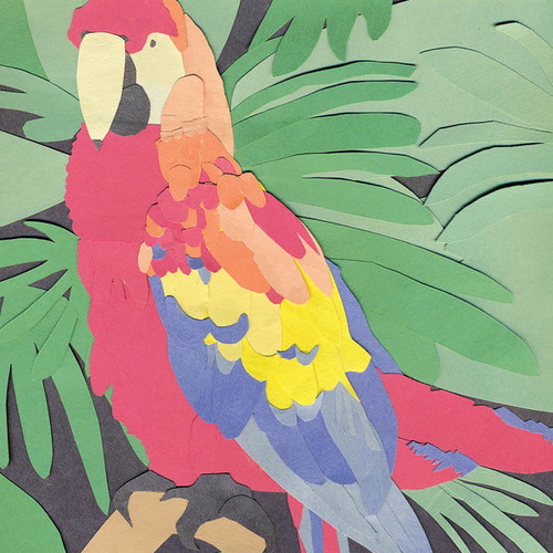Algernon Cadwallader - Parrot Flies