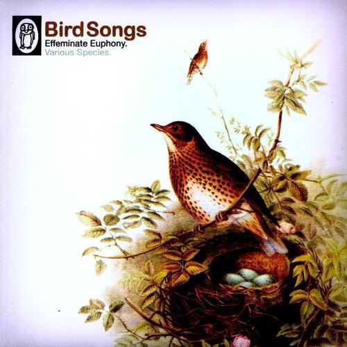 Bird Songs /  Various
