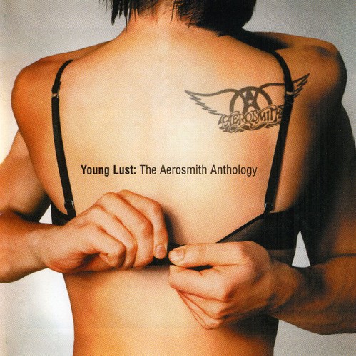 Young Lust: The Aerosmith Anthology [Import]