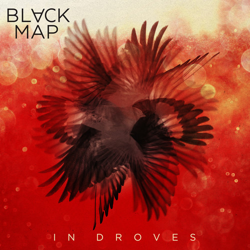 Black Map - In Droves [LP]