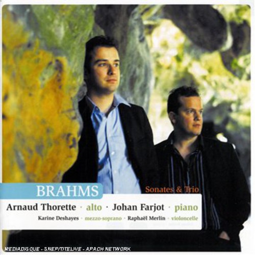 Brahms: Sonatas & Trios