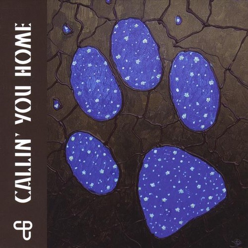 COYOTE POETS OF THE UNIVERSE - Callin' You Home