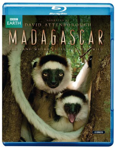 Madagascar: Land Where Evolution Ran Wild [Import]